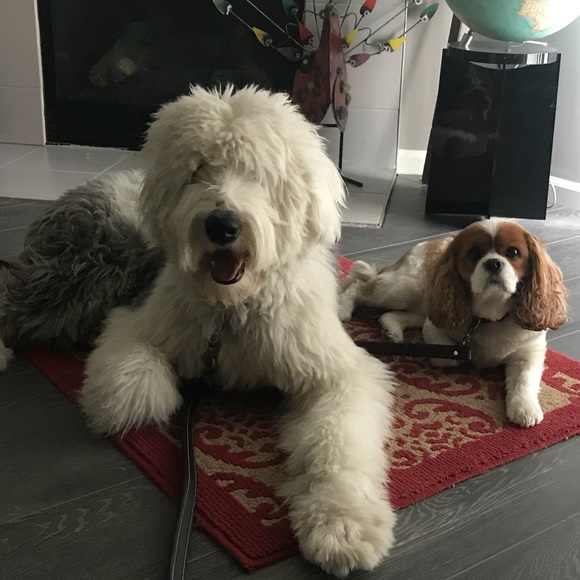 Meet your Posher, Becca - Picture 5 of 5